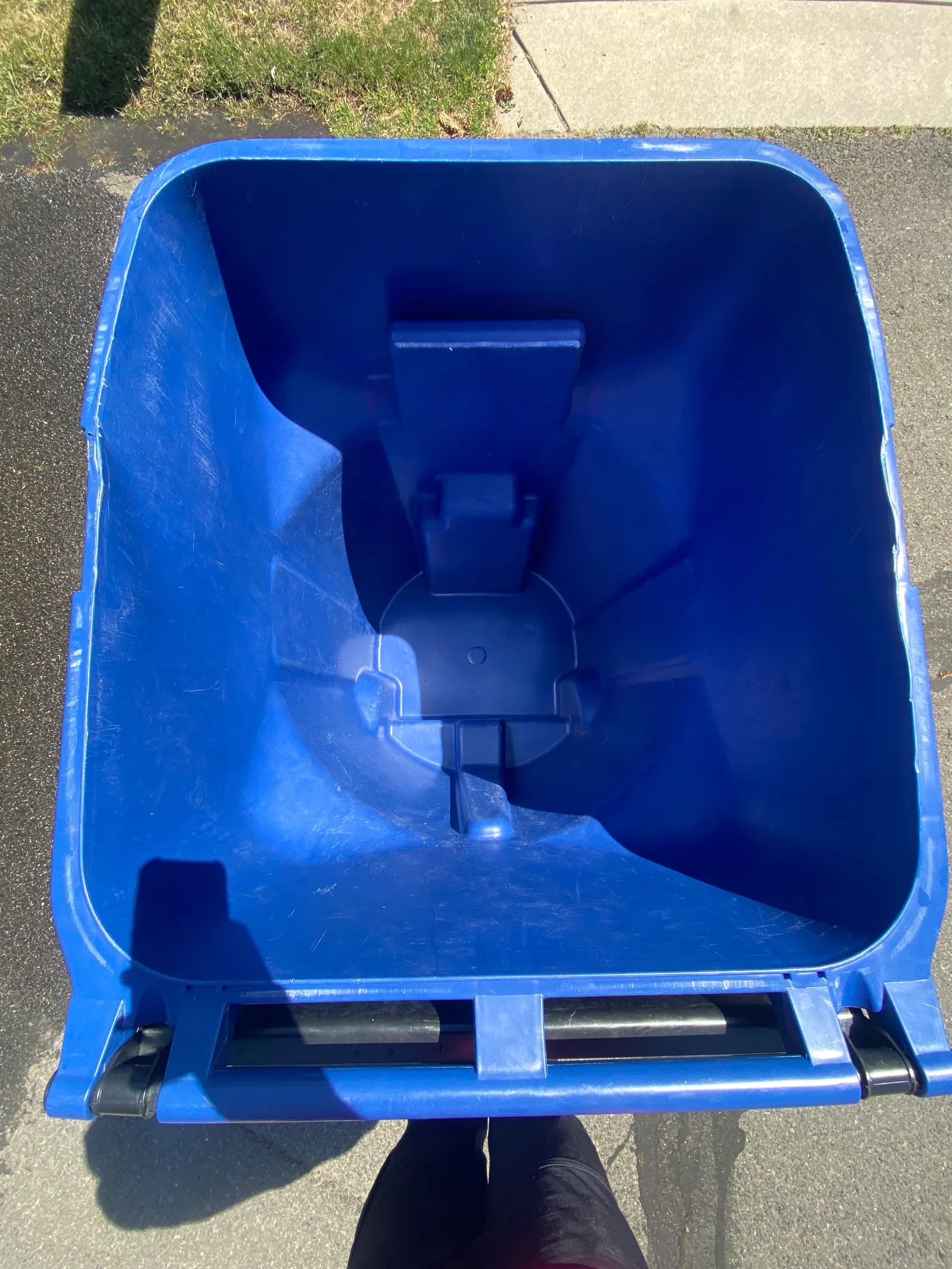 Black trash and blue recycling bins after Britebin cleaning, visibly cleaner and ready for collection day