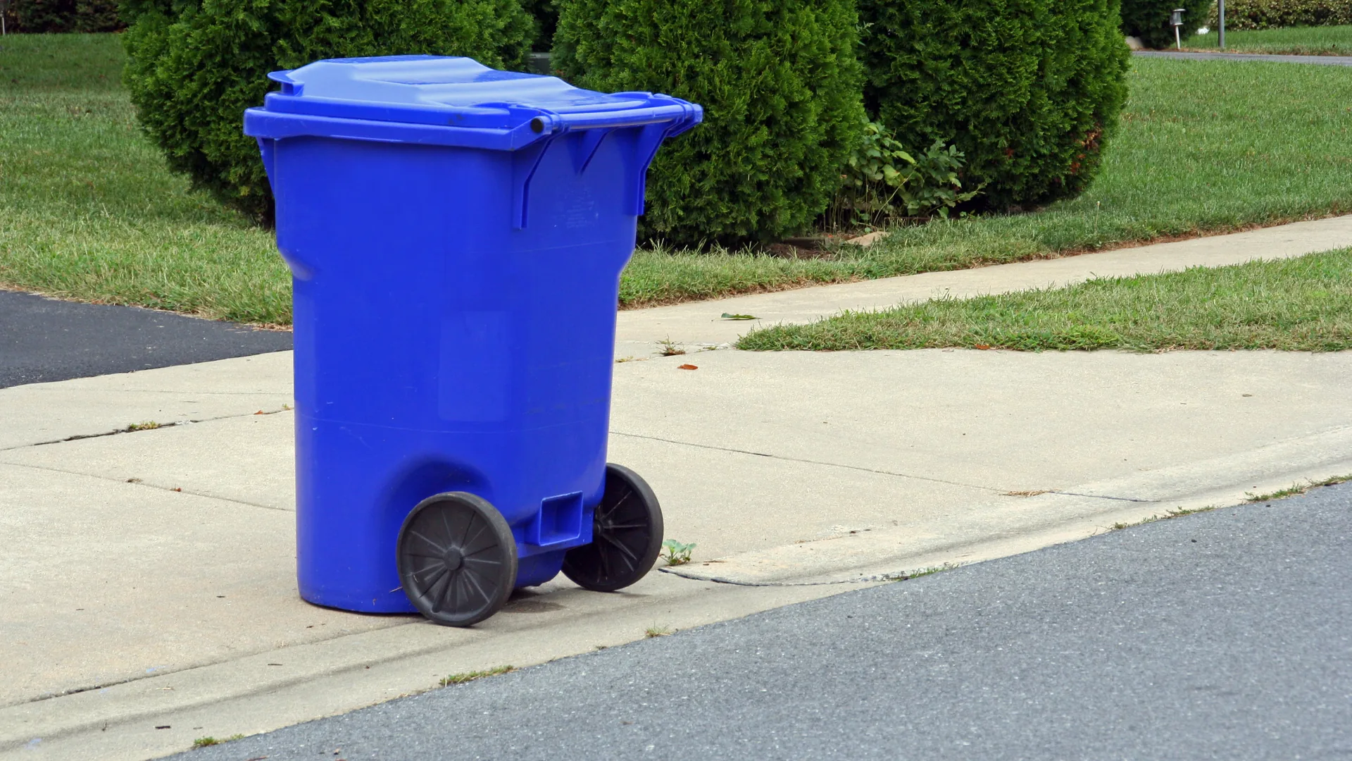 Curbside bins along a city street