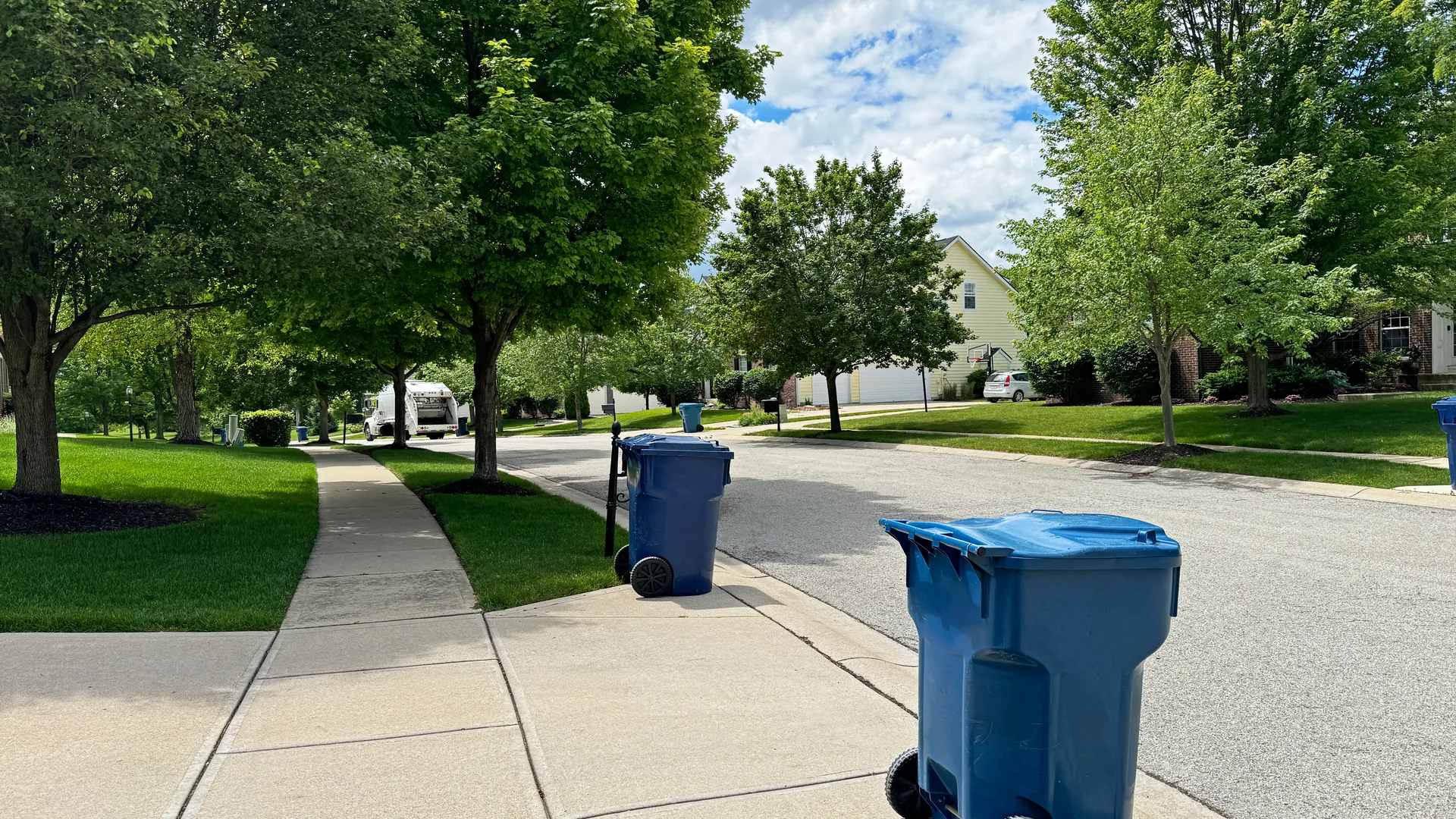 Denver metro homes with curbside carts