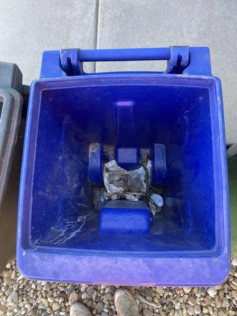 Interior of a residential trash bin in Lone Tree before professional cleaning